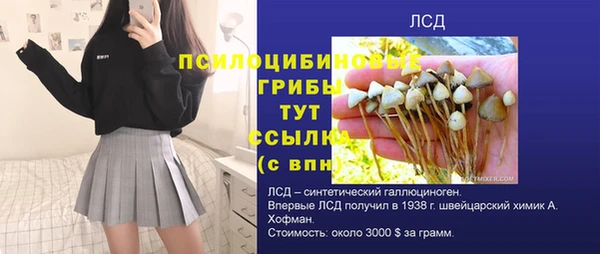 скорость Костерёво