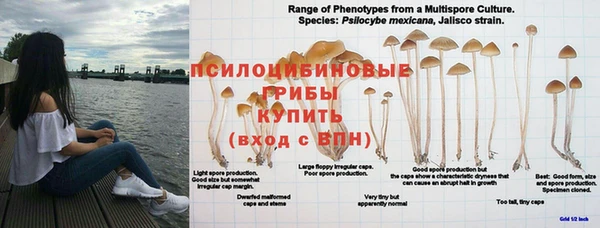 дживик Коряжма