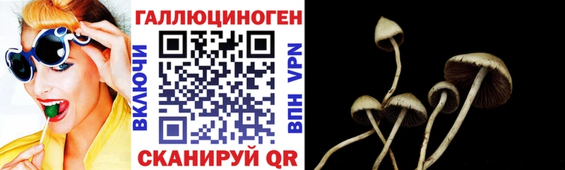 Галлюциногенные грибы ЛСД  даркнет наркотические препараты  Куртамыш  цены  